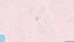 View map