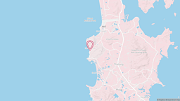 View map