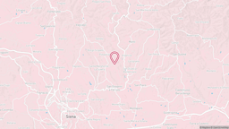 View map