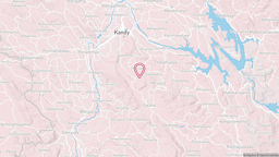 查看地图