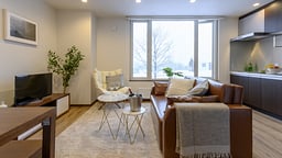 SnowDog Village One Bedroom