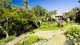 Villa Sebali
