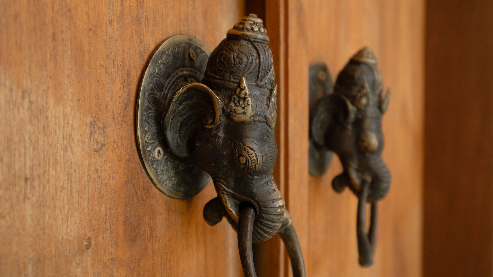 Elephant Villa 4 Others