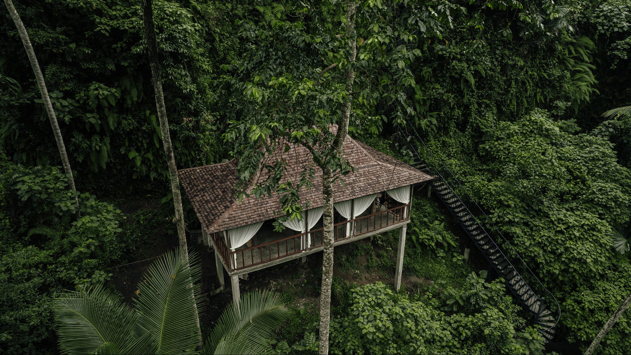 Villa Tree Top в городе Убуд и окрестности (Бали), число спален: 4. Лучшие  цены с отзывами!